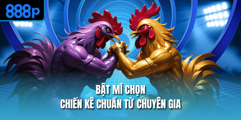 Bật mí chọn chiến kê chuẩn từ chuyên gia