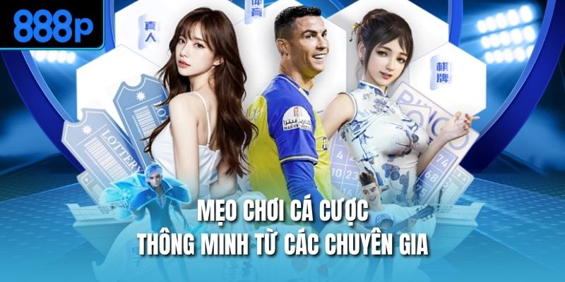 Mẹo chơi cá cược thông minh từ các chuyên gia