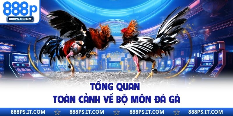 Tổng quan toàn cảnh về bộ môn đá gà